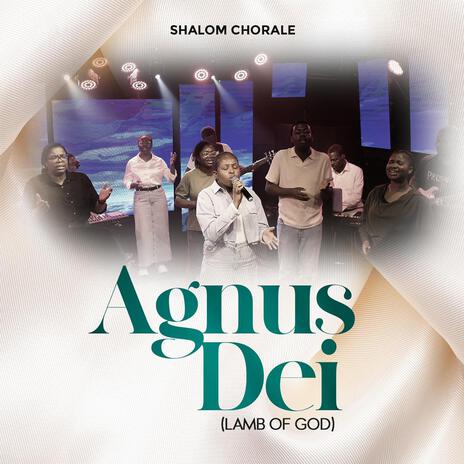 Agnus Dei (Lamb of God) | Boomplay Music