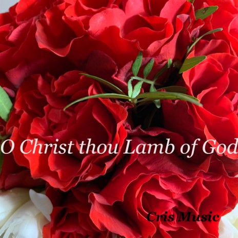 O Christ thou Lamb of God | Boomplay Music