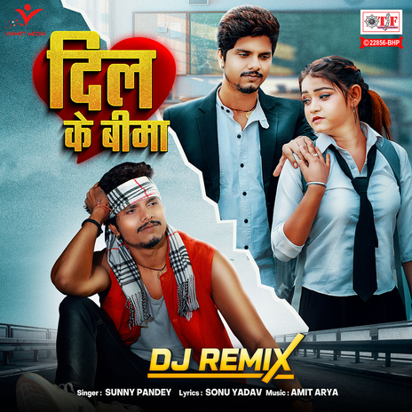 Dil Ke Bima (DJ Remix) | Boomplay Music