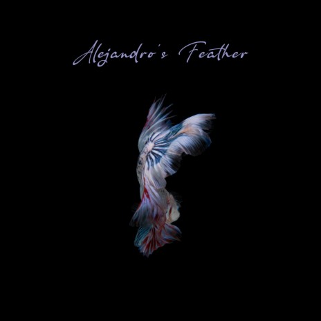 Alejandro's Feather