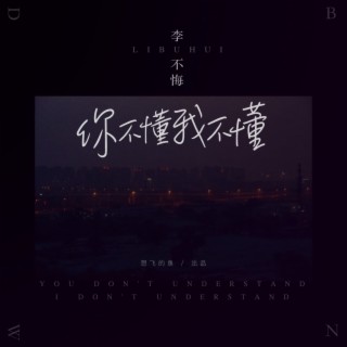 你不懂我不懂 lyrics | Boomplay Music