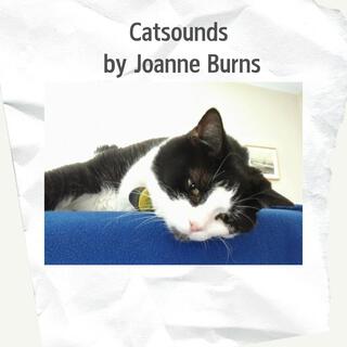 Catsounds