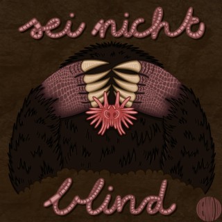 sei nicht blind lyrics | Boomplay Music