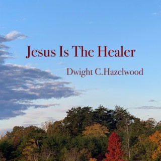 Jesus Is The Healer lyrics | Boomplay Music