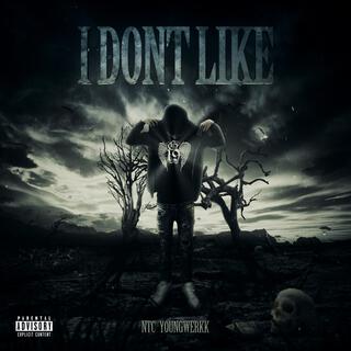 I Don't Like lyrics | Boomplay Music