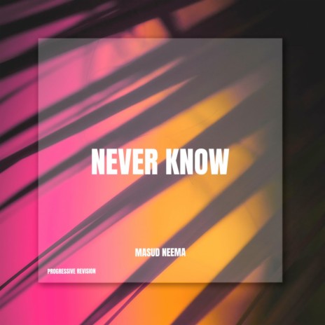 Never Know R2 (Progressive Version) | Boomplay Music