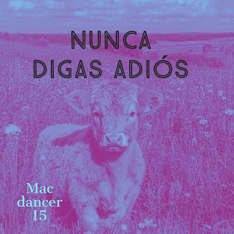 nunca digas a dios | Boomplay Music