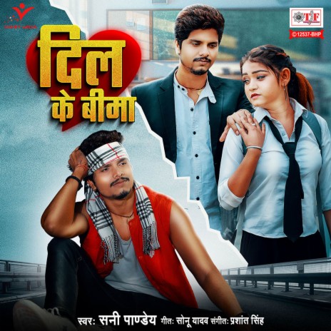 Dil Ke Bima | Boomplay Music