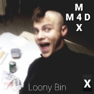 Loony Bin