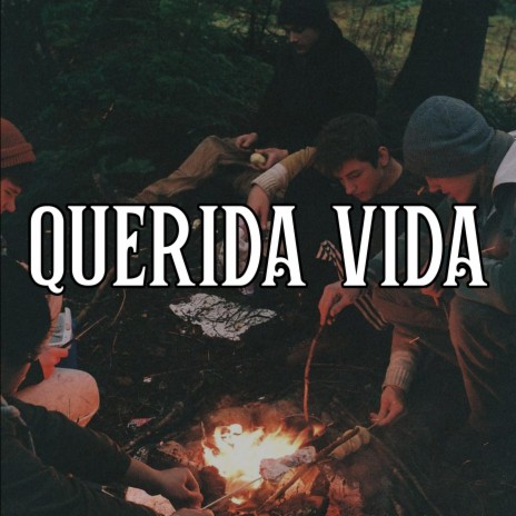 Querida Vida | Boomplay Music