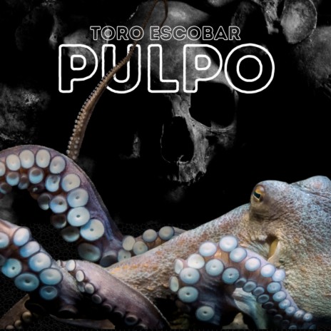 Pulpo | Boomplay Music