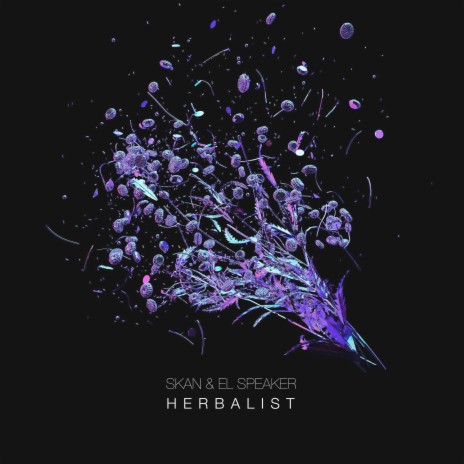 Herbalist ft. Skan | Boomplay Music