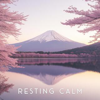 Soft Resting Calm