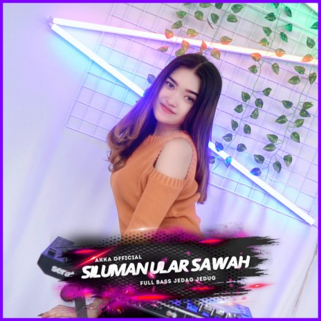 DJ SILUMAN ULAR SAWAH | Boomplay Music