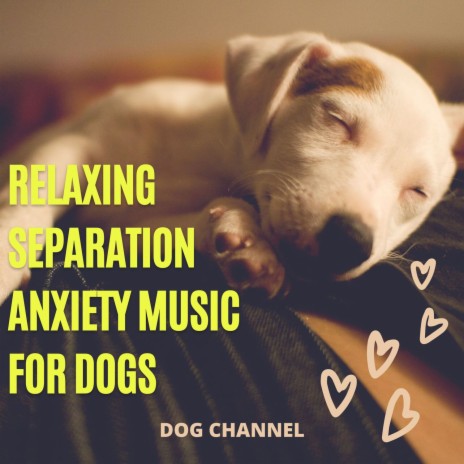 Soothing Song for Dog Anxiety, Depression and Hyperactivity