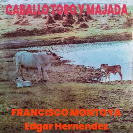 A los Llanos Guariqueños ft. Edgar Hernández | Boomplay Music
