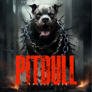 PITBULL