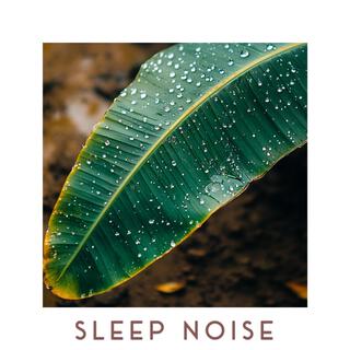 Whisper Sleep Noise