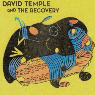 David Temple and the Recovery