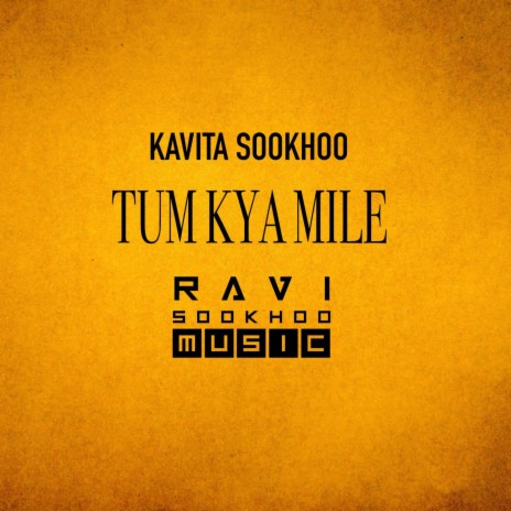 Tum Kya Mile ft. Kavita Sookhoo | Boomplay Music