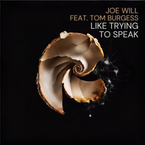 Like trying to speak ft. Tom Burgess | Boomplay Music