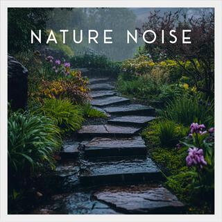 Dreaming Nature Noise