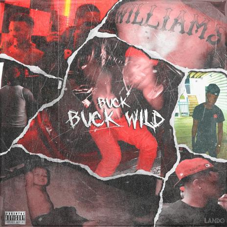 BUCK WILD