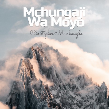 Mchungaji Wa Moyo | Boomplay Music