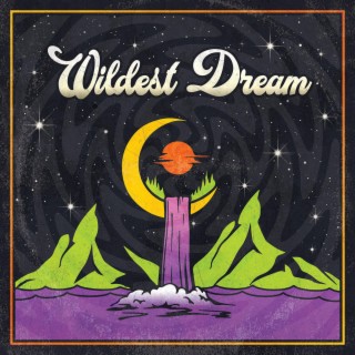 Wildest Dream