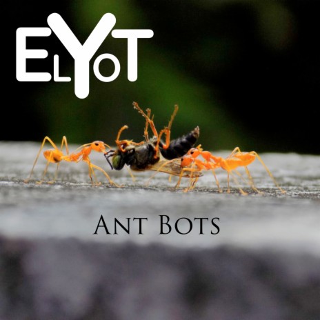 Ant Bots | Boomplay Music