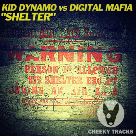 Shelter (Original Mix) ft. Digital Mafia