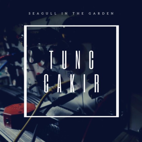Seagull In The Garden | Boomplay Music