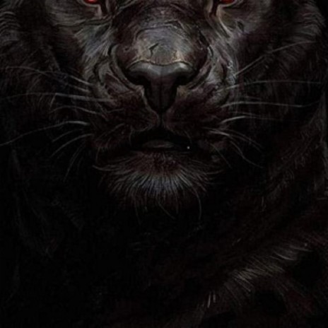 Black Panther 2 | Boomplay Music
