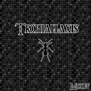 Trophallaxis