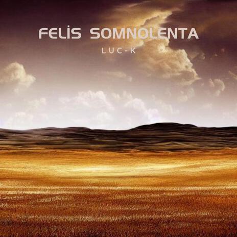 Felis Somnolenta | Boomplay Music