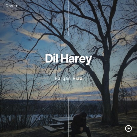 Dil Harey | Boomplay Music