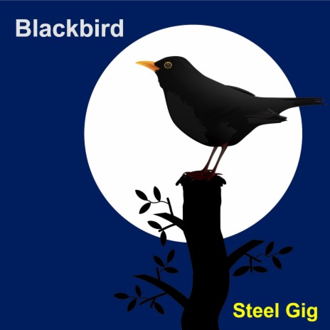 Blackbird | Boomplay Music