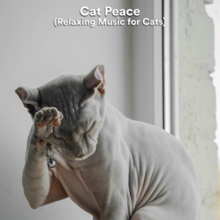 Cat Peace (Relaxing Music for Cats)