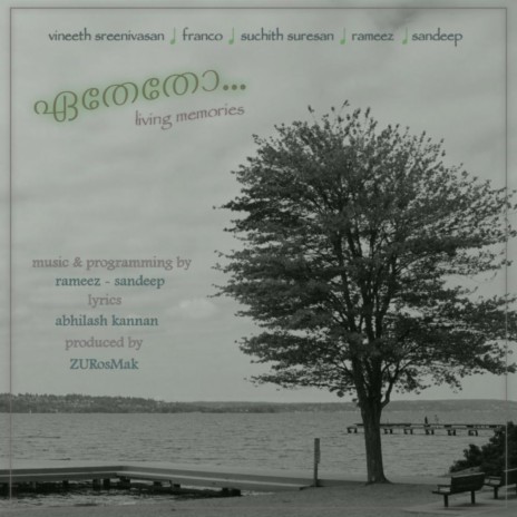 Venmegham (feat. Vineeth Sreenivasan) | Boomplay Music