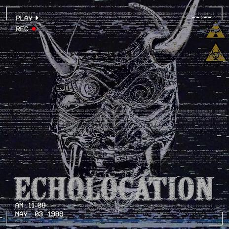 Echolocation | Boomplay Music