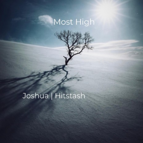 Most High ft. Hitstash | Boomplay Music