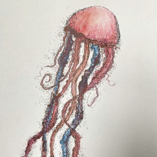 Jellyfish