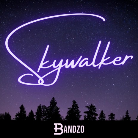 Skywalker | Boomplay Music