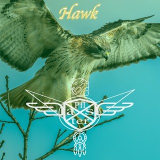 Hawk