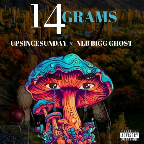 14 GRAMS ft. NLB Bigg Ghost | Boomplay Music
