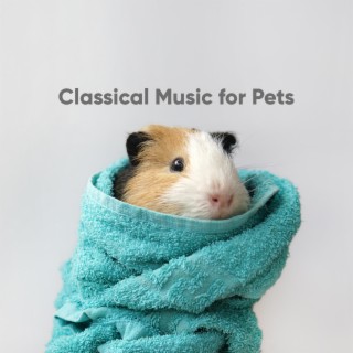 Music for Guinea Pigs, Hamsters and Rabbits on Piano