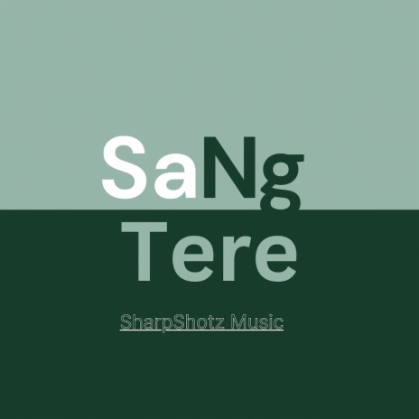 Sang Tere | Boomplay Music