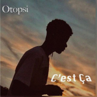 Otopsi