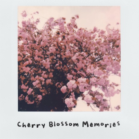 Cherry Blossom Memories