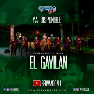 El Gavilan (Version Estudio)